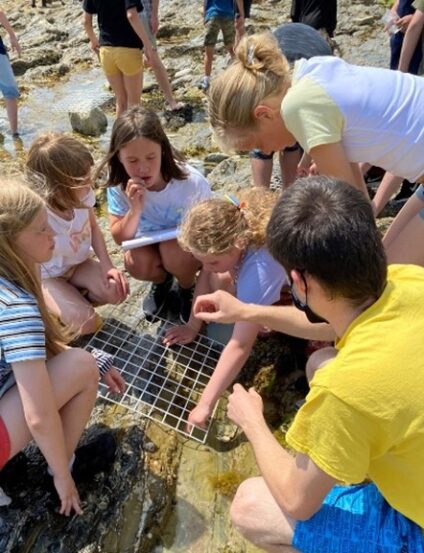 Children at the beach studying rockpools
